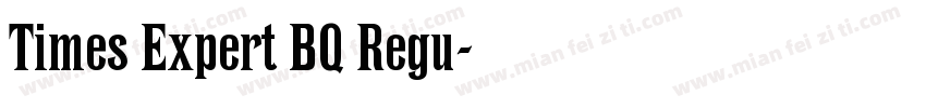 Times Expert BQ Regu字体转换